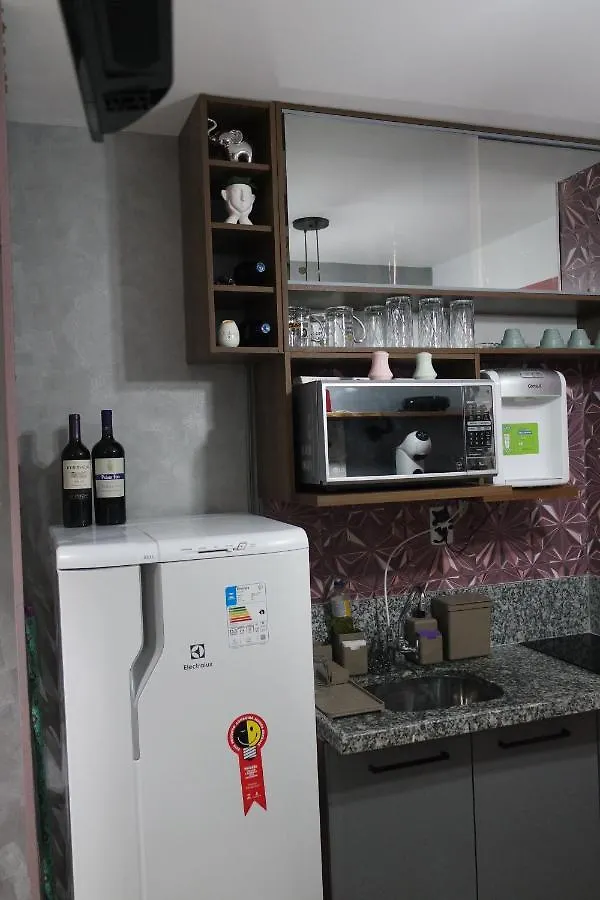 Sp Bras, Apartamento Inteiro, Expo Center Norte, Vinho Gratis, Feira Da Madrugada, Rua Vautier, Rua 25 De Marco, Templo, Pari サンパウロ アパート